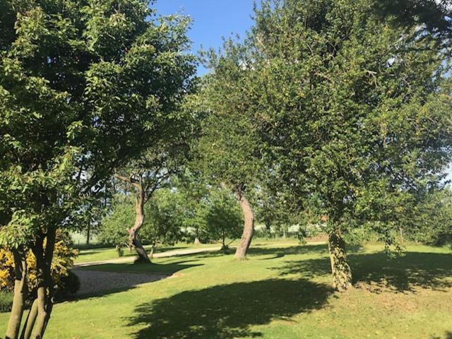 Dairy Barns Holiday Cottages نورويش المظهر الخارجي الصورة